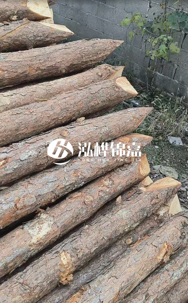松木樁哪里能大量供應(yīng)？4米20公分松木樁價格是多少？