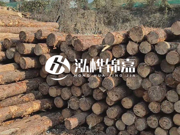 落葉松木材的主要產(chǎn)地在哪里？為什么比其他松木更耐腐蝕？