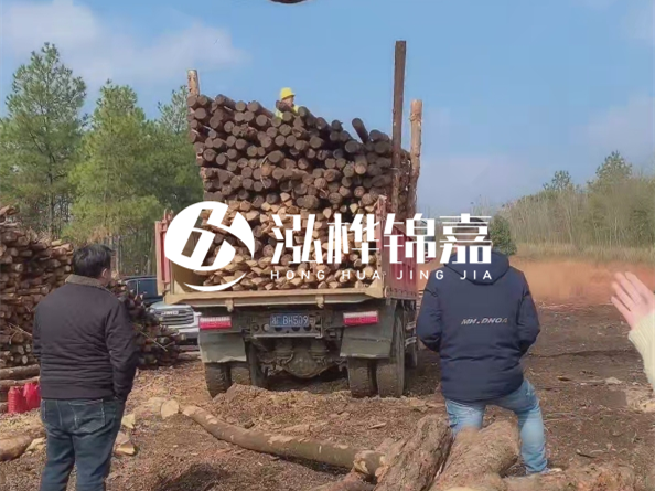 防腐木樁價(jià)格比普通木樁貴多少？防腐木樁有哪些處理方式？