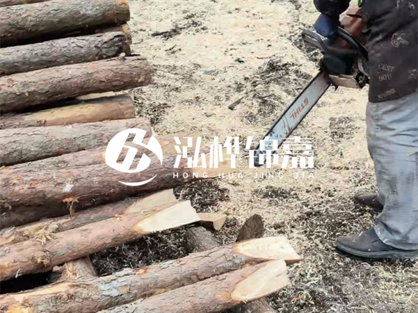 杉木樁批發(fā)廠家哪家好？產(chǎn)地直供渠道推薦！