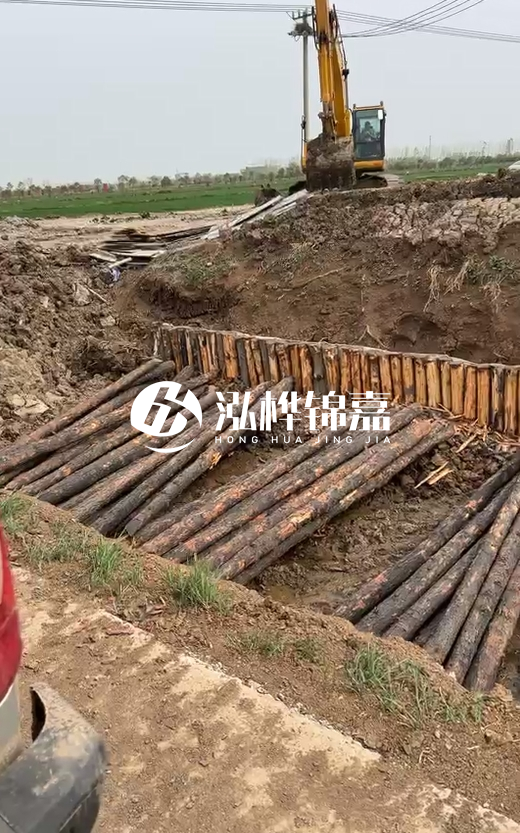 4米直徑12-13油松批發(fā)價最低多少？報價含稅含運(yùn)嗎？