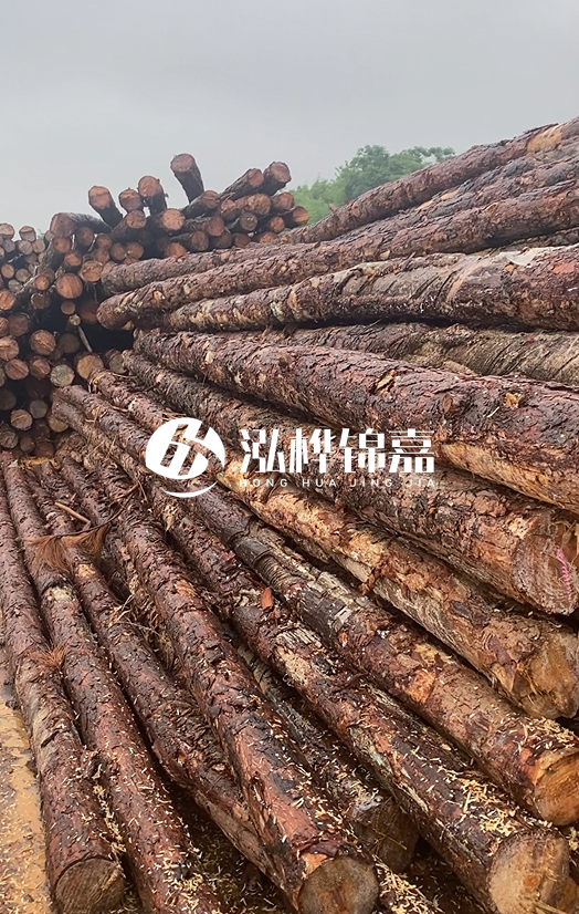 購(gòu)買松木樁注意事項(xiàng)有哪些-不同直徑松木樁區(qū)別有哪些？