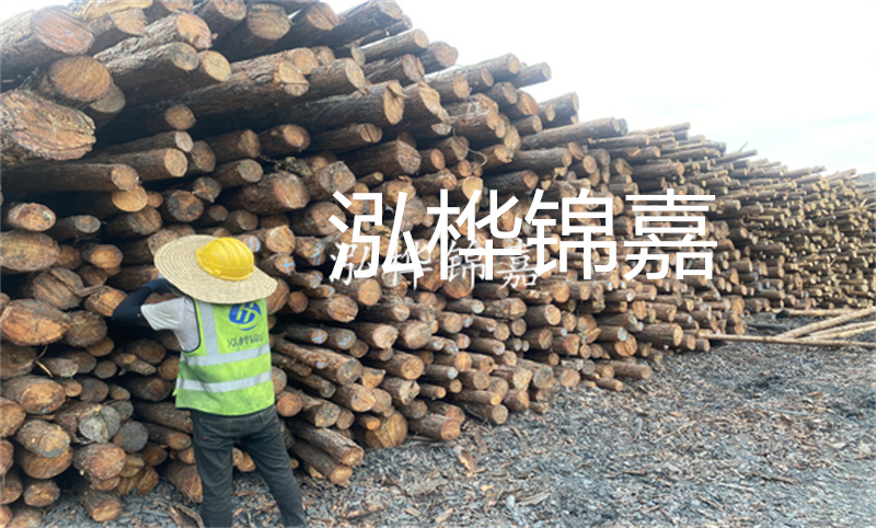 松木樁基礎施工難點有哪些